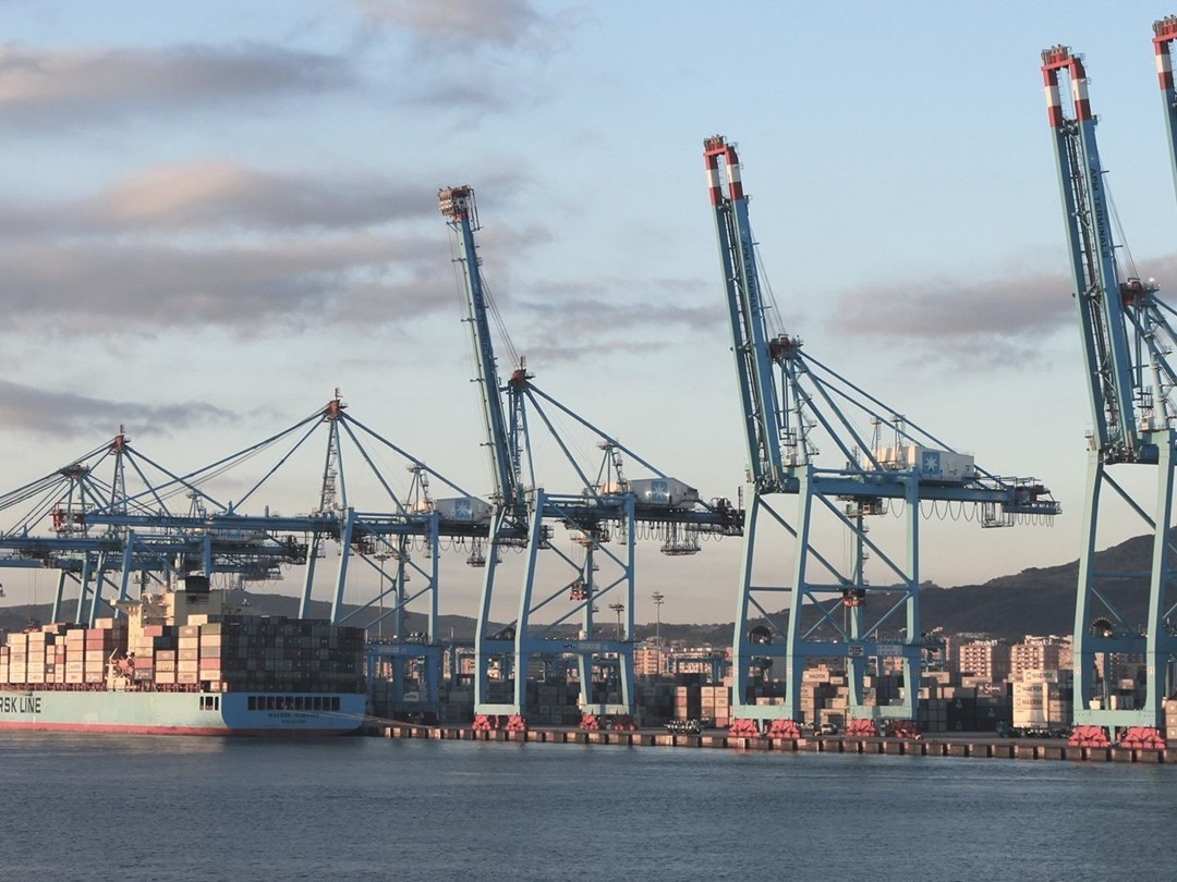 Algeciras